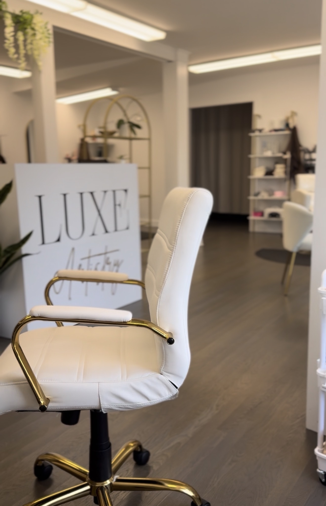 Luxe Artistry Interior